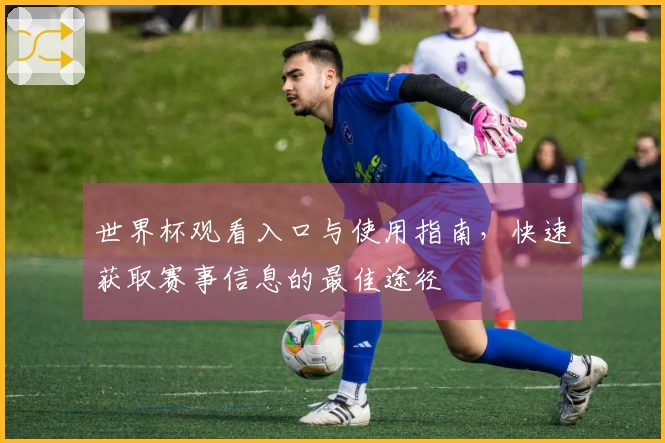 世界杯观看入口与使用指南,快速获取赛事信息的最佳途径