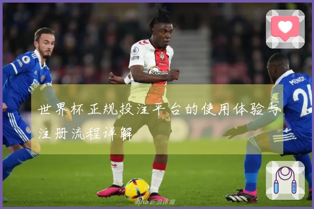 世界杯正规投注平台的使用体验与注册流程详解