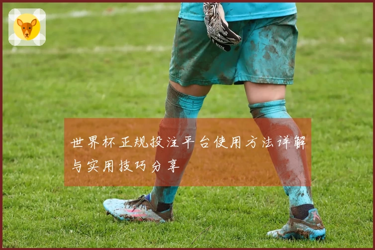 世界杯正规投注平台使用方法详解与实用技巧分享