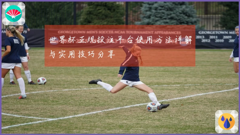 世界杯正规投注平台使用方法详解与实用技巧分享