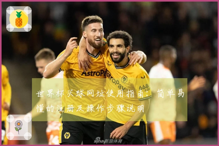 世界杯买球网址使用指南：简单易懂的注册及操作步骤说明