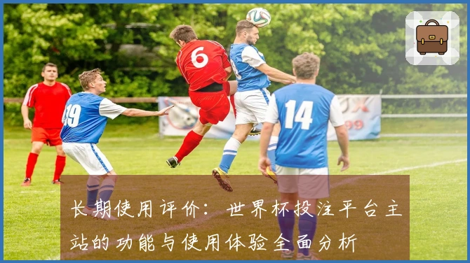 长期使用评价：世界杯投注平台主站的功能与使用体验全面分析