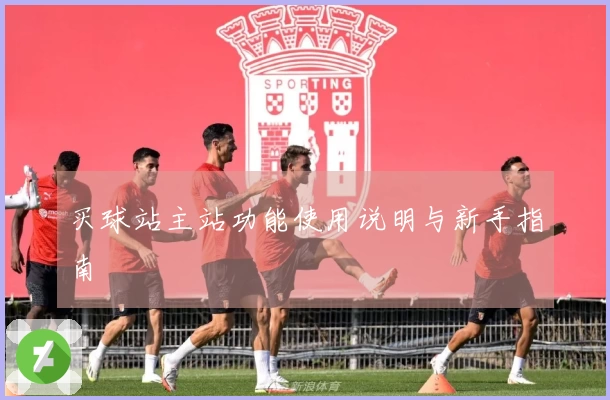 买球站主站功能使用说明与新手指南
