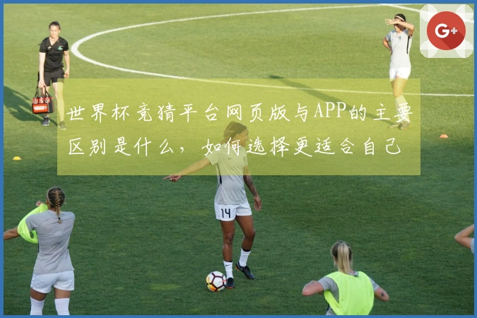 世界杯竞猜平台网页版与APP的主要区别是什么，如何选择更适合自己的？