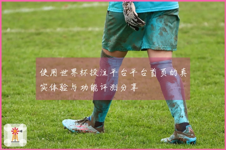 使用世界杯投注平台平台首页的真实体验与功能评测分享
