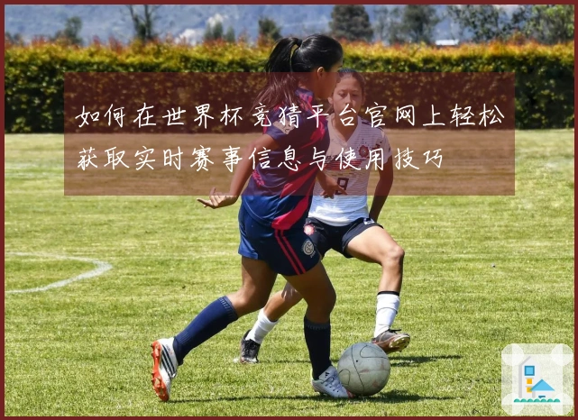 如何在世界杯竞猜平台官网上轻松获取实时赛事信息与使用技巧