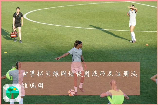 世界杯买球网址使用技巧及注册流程说明