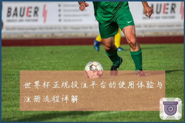 世界杯正规投注平台的使用体验与注册流程详解