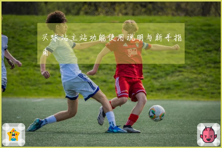 买球站主站功能使用说明与新手指南