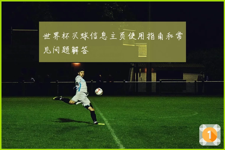 世界杯买球信息主页使用指南和常见问题解答